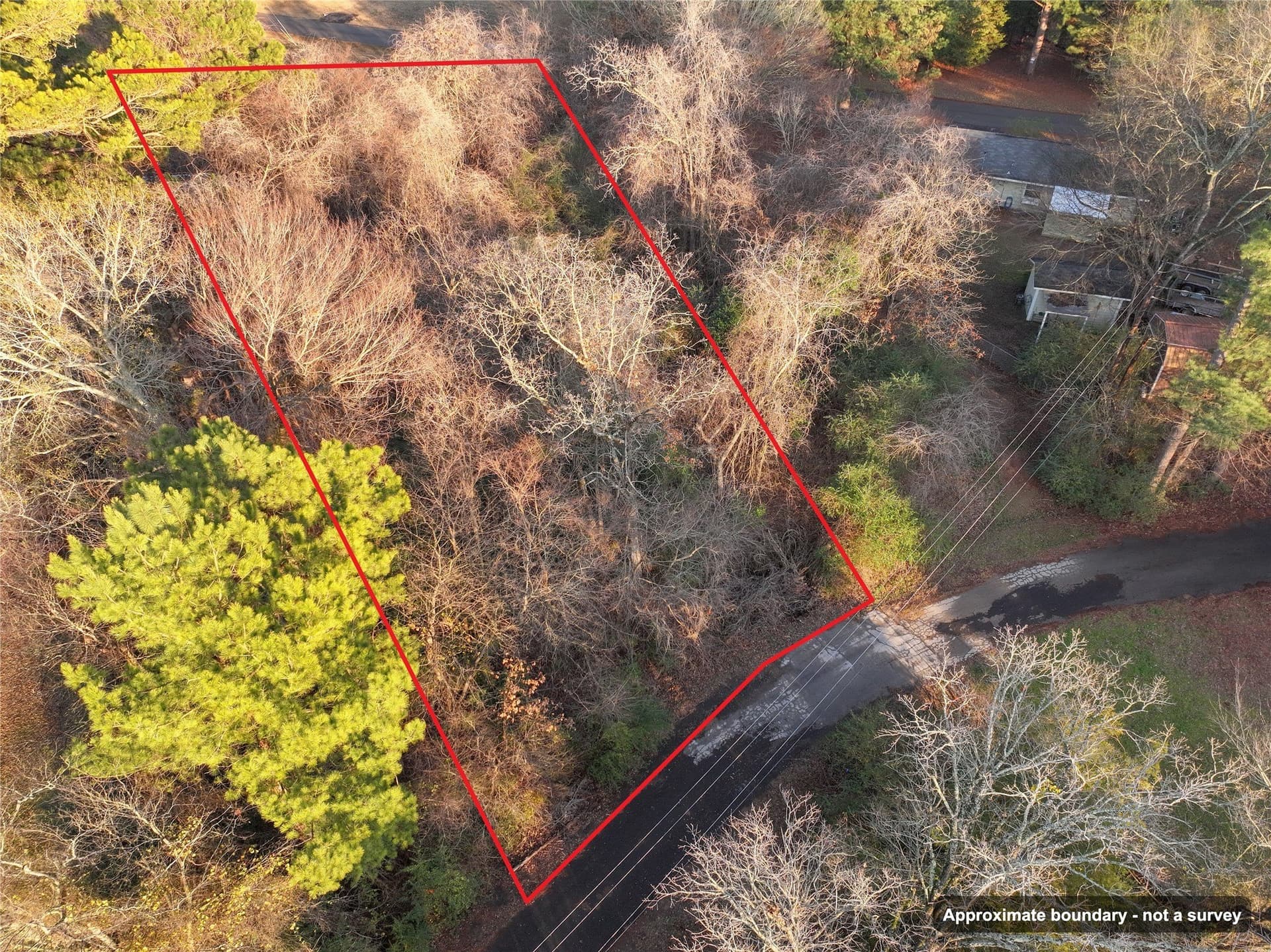 0.24 acres in Wood County - photo 10