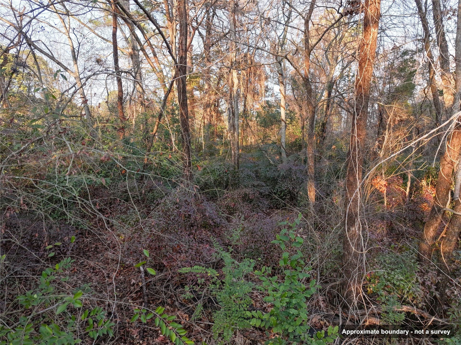 0.24 acres in Wood County - photo 14
