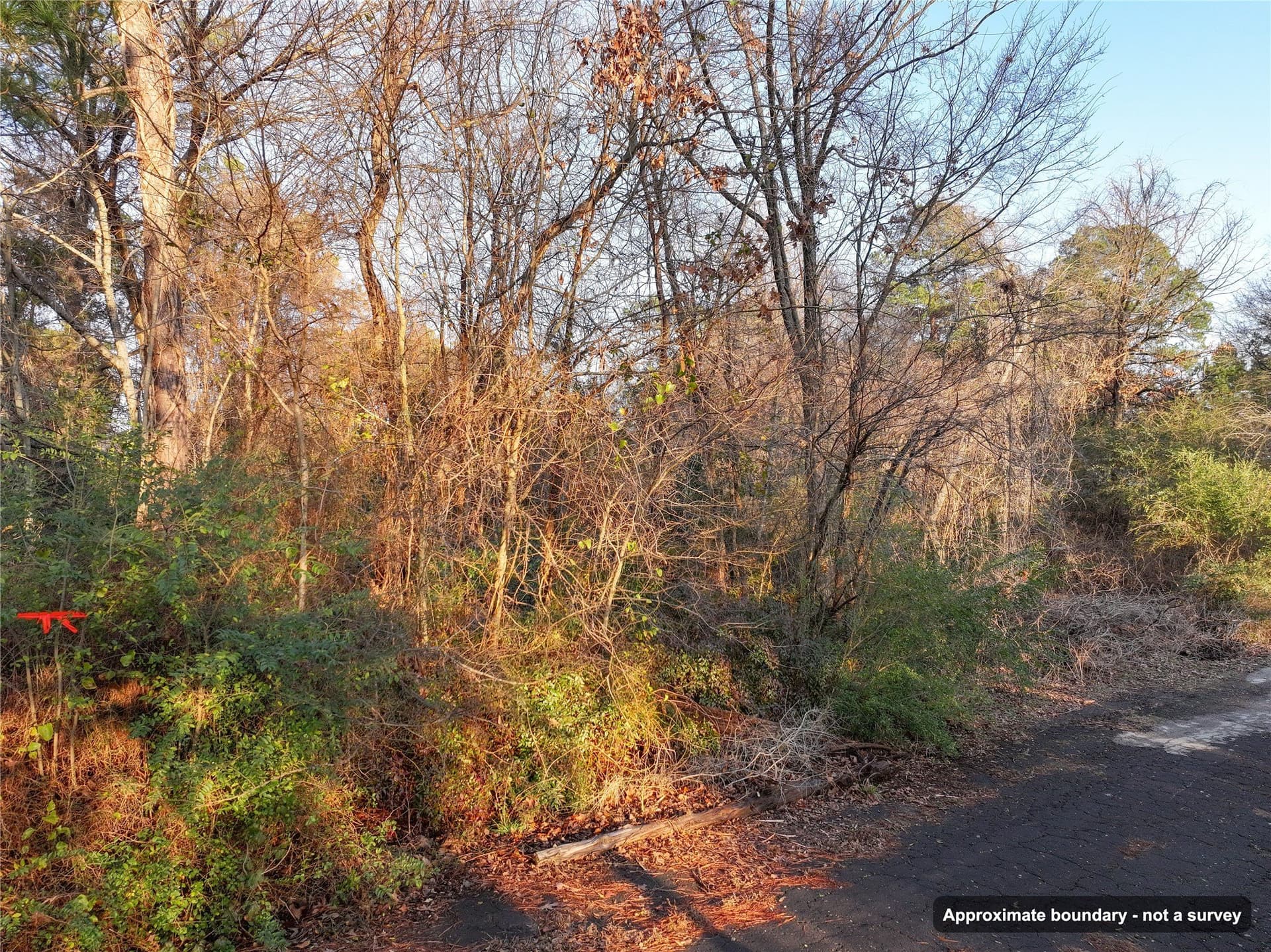 0.24 acres in Wood County - photo 11