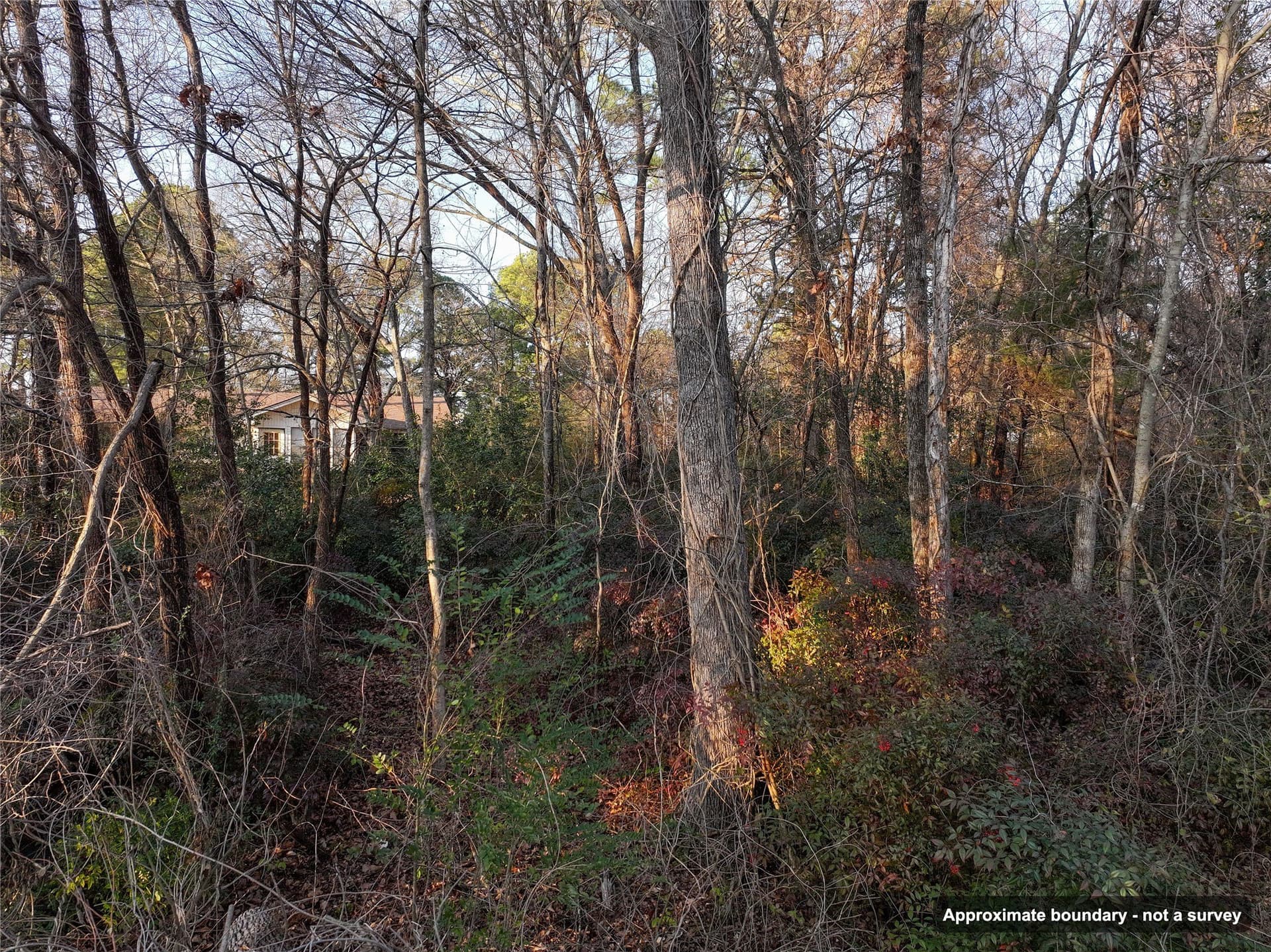 0.24 acres in Wood County - photo 17