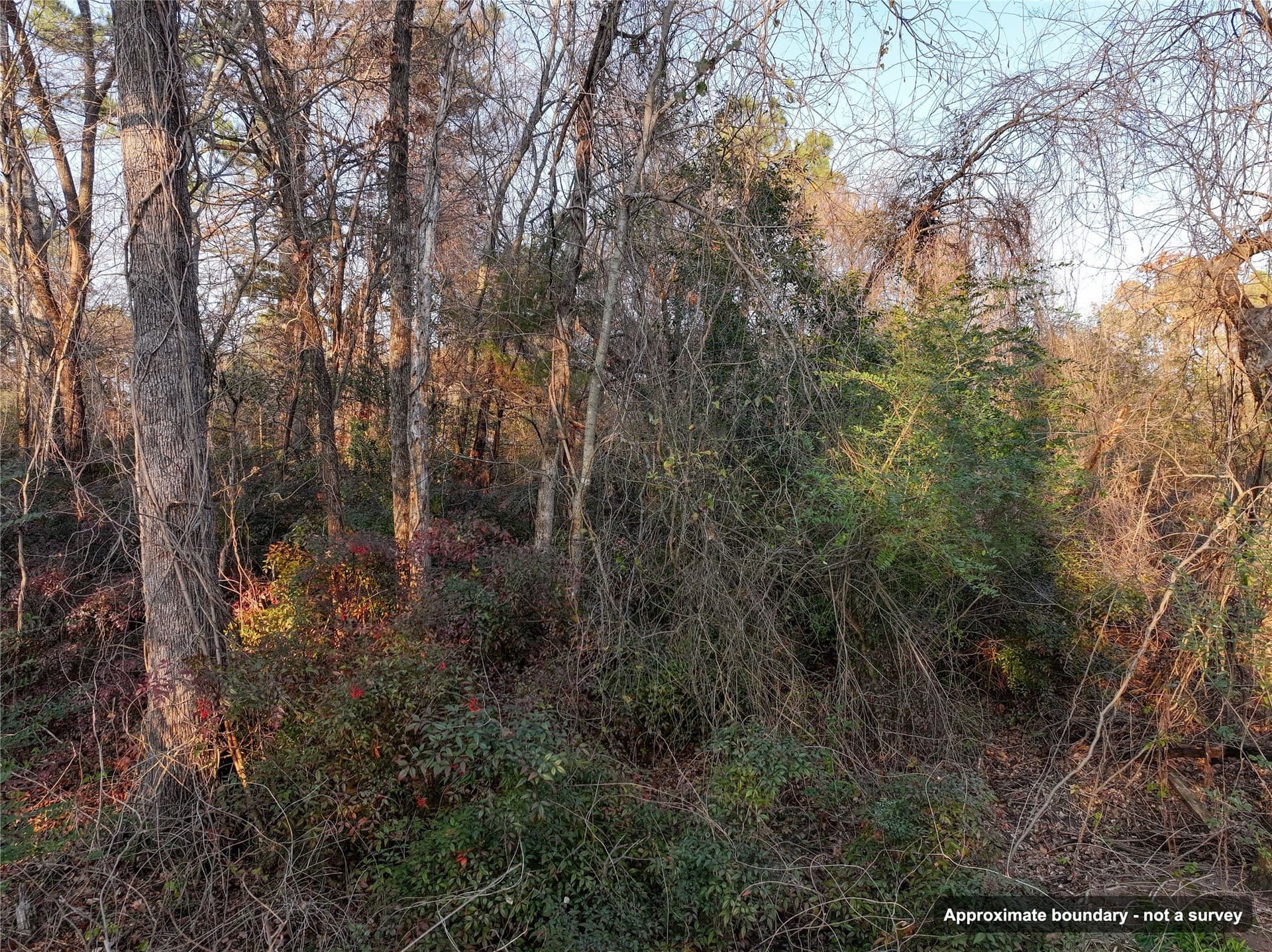 0.24 acres in Wood County - photo 15