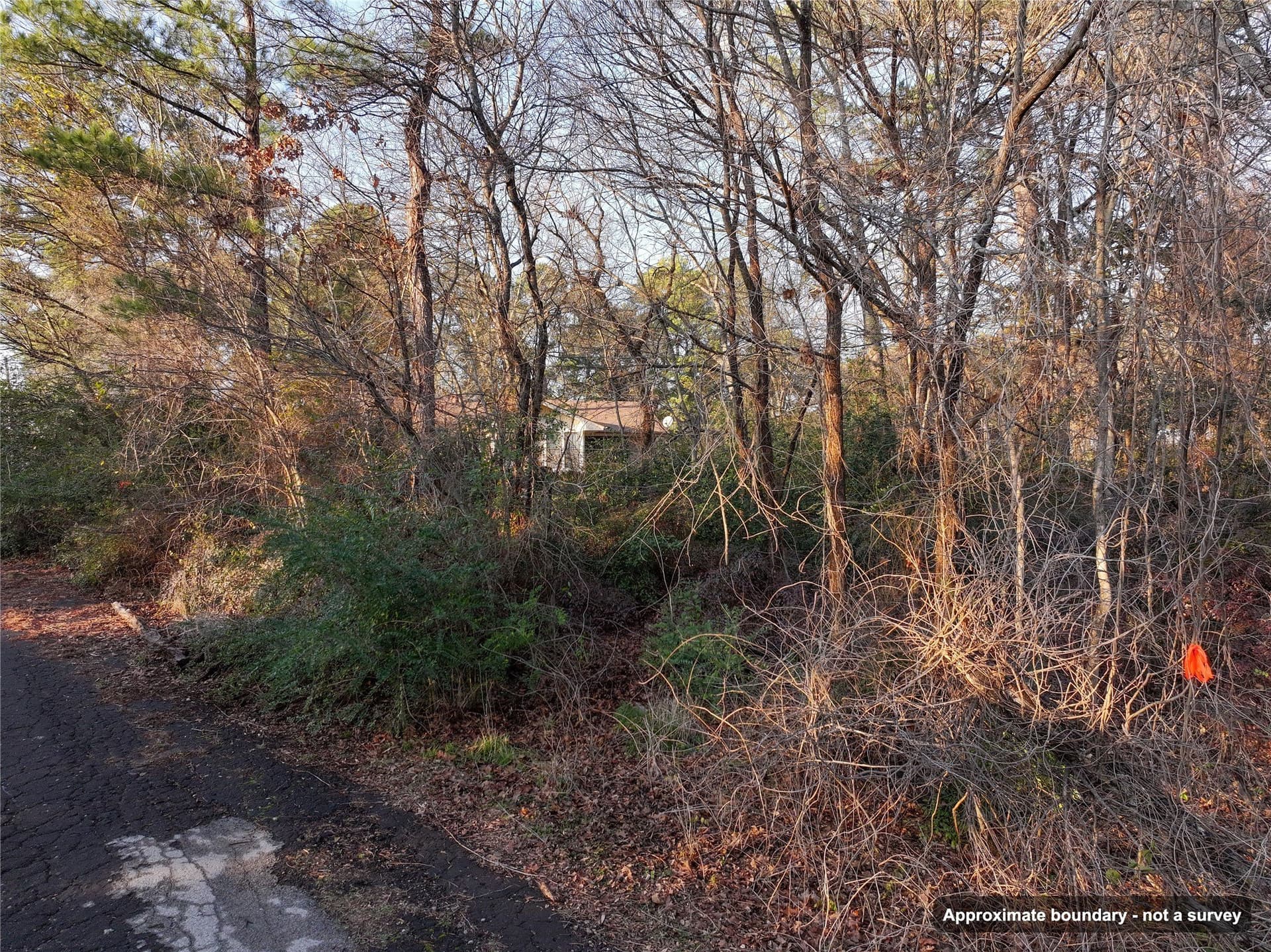 0.24 acres in Wood County - photo 4