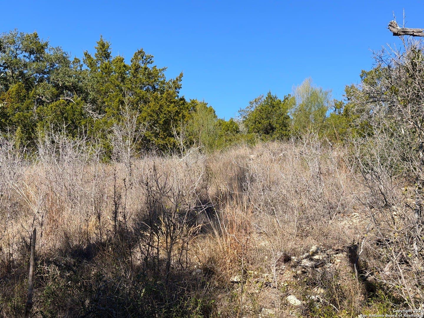 1.04 acres in Comal County - photo 22