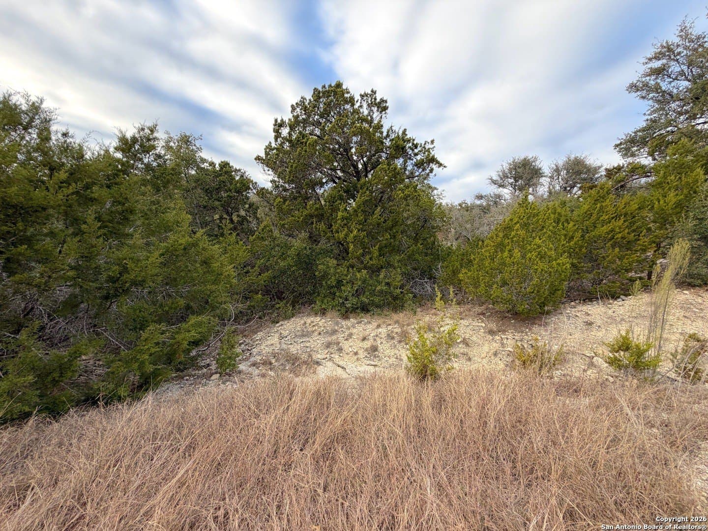 1.04 acres in Comal County - photo 10