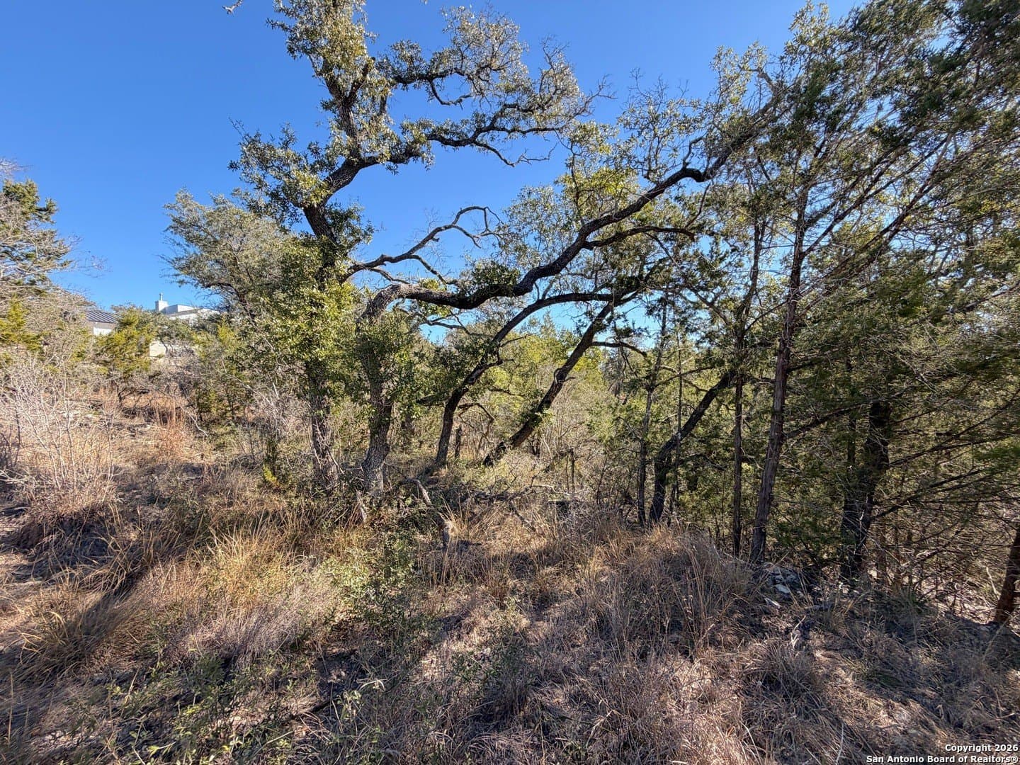 1.04 acres in Comal County - photo 20