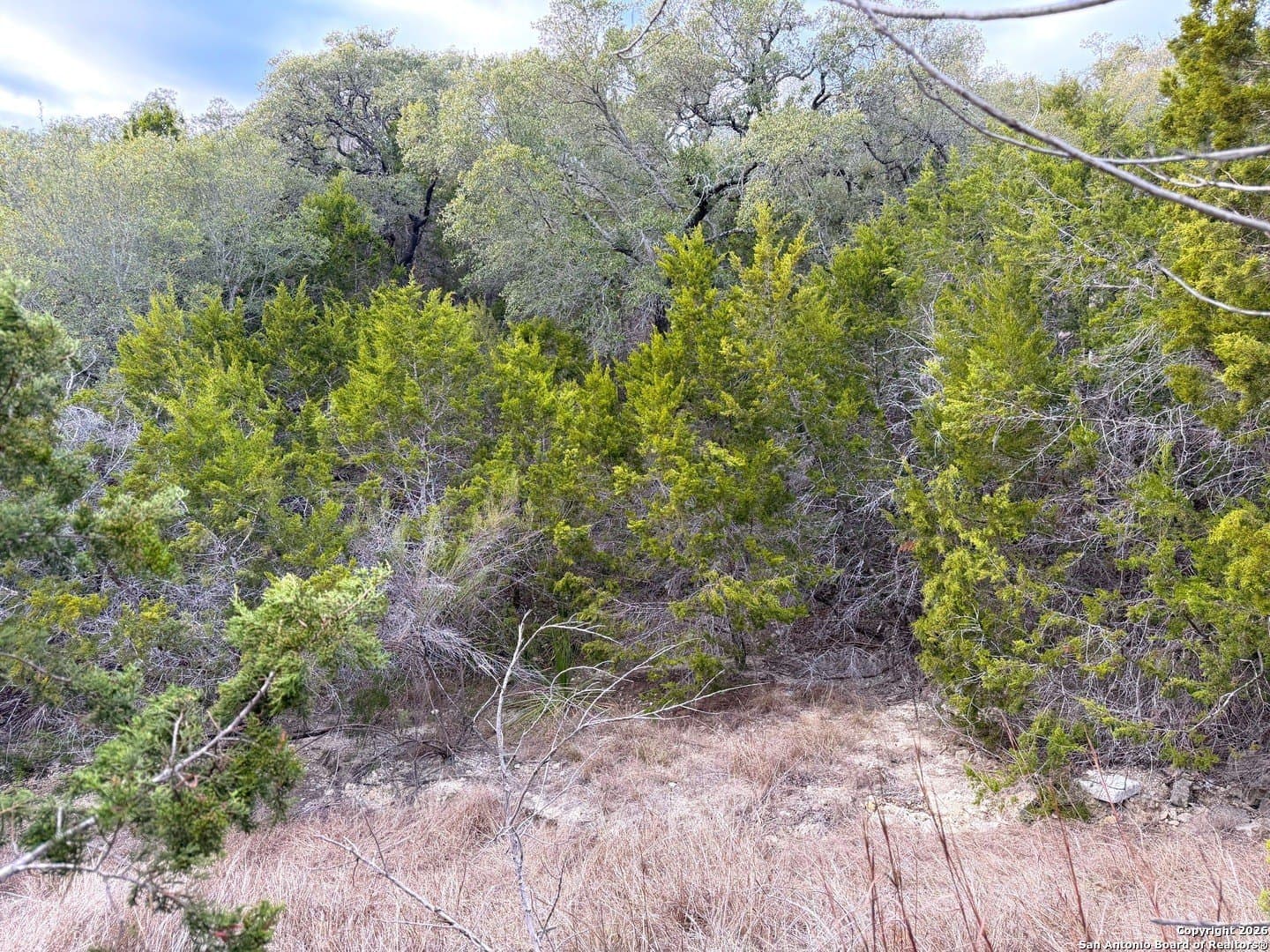 1.04 acres in Comal County - photo 8