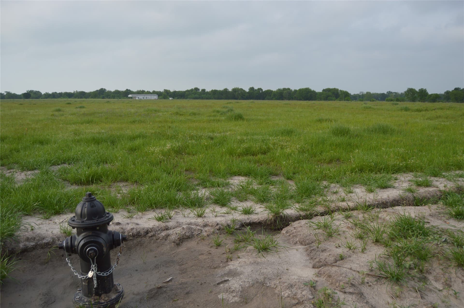 6 acres in Rains County - photo 12
