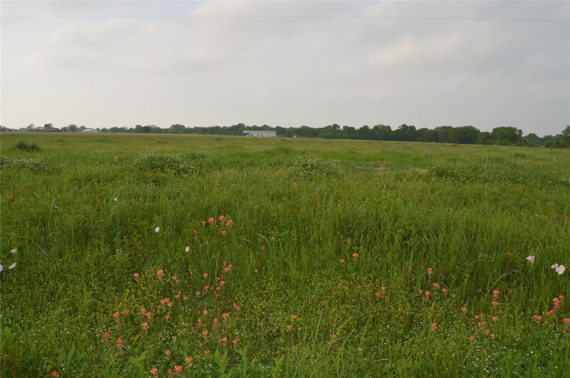 6 acres in Rains County - photo 36