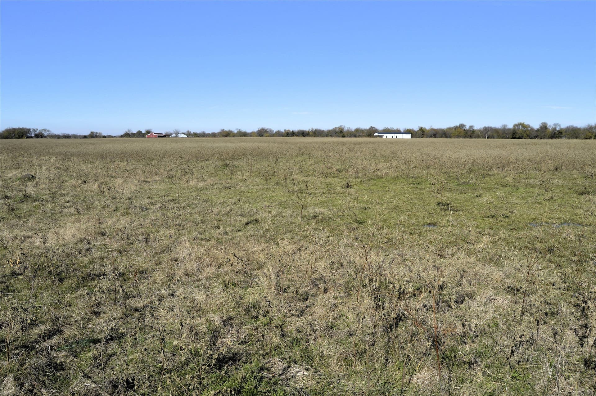 6 acres in Rains County - photo 23