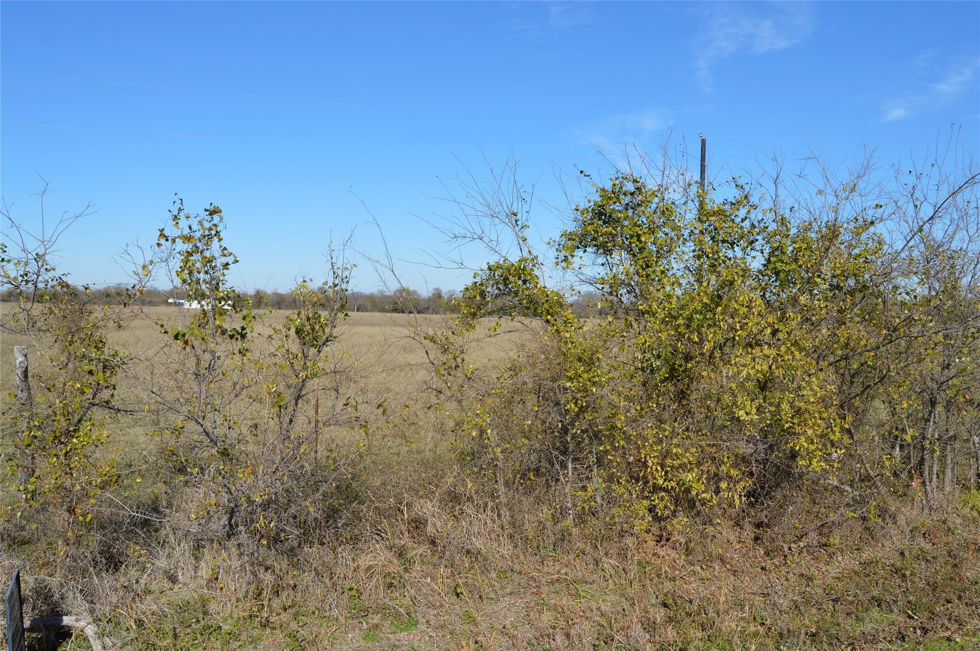 6 acres in Rains County - photo 31