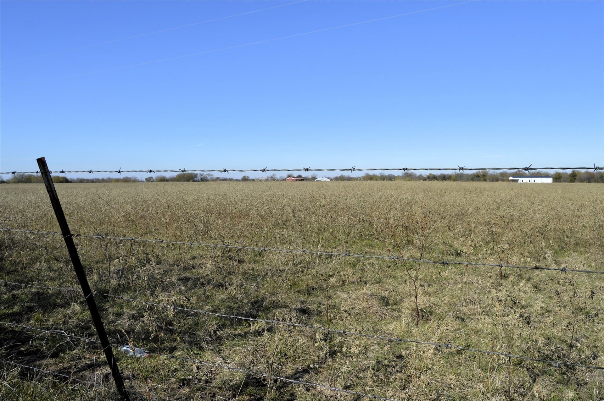 6 acres in Rains County - photo 19