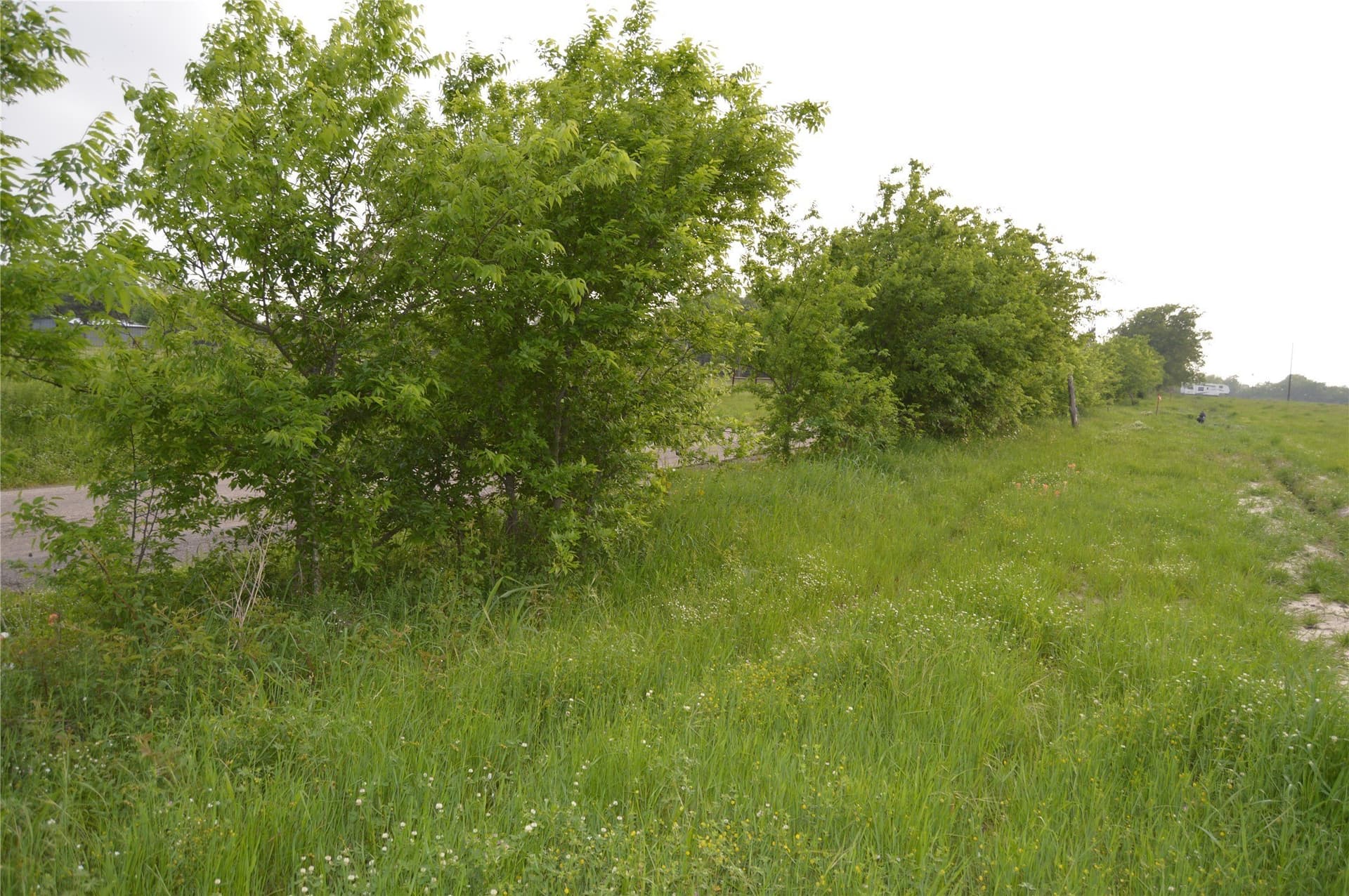 6 acres in Rains County