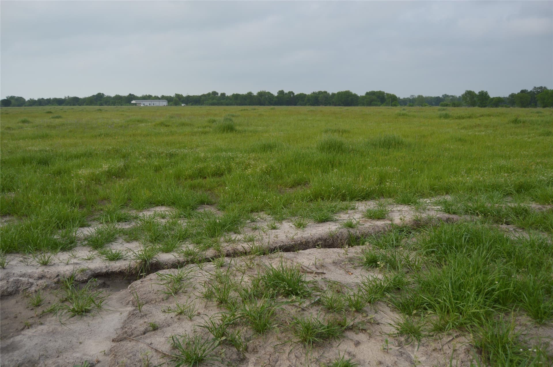 6 acres in Rains County - photo 11