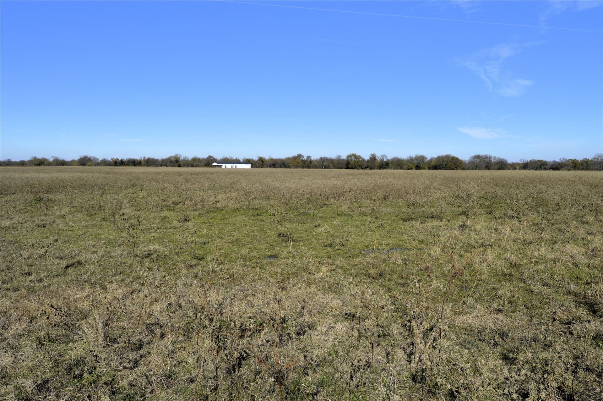 6 acres in Rains County - photo 25