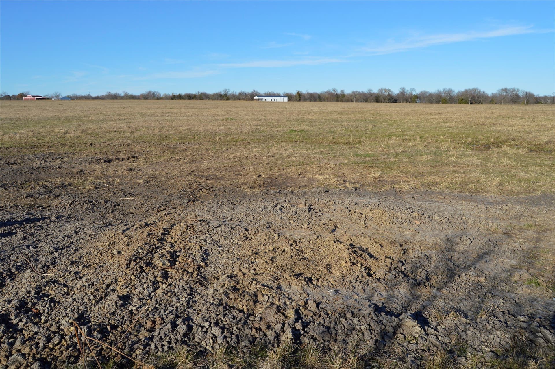 6 acres in Rains County - photo 13