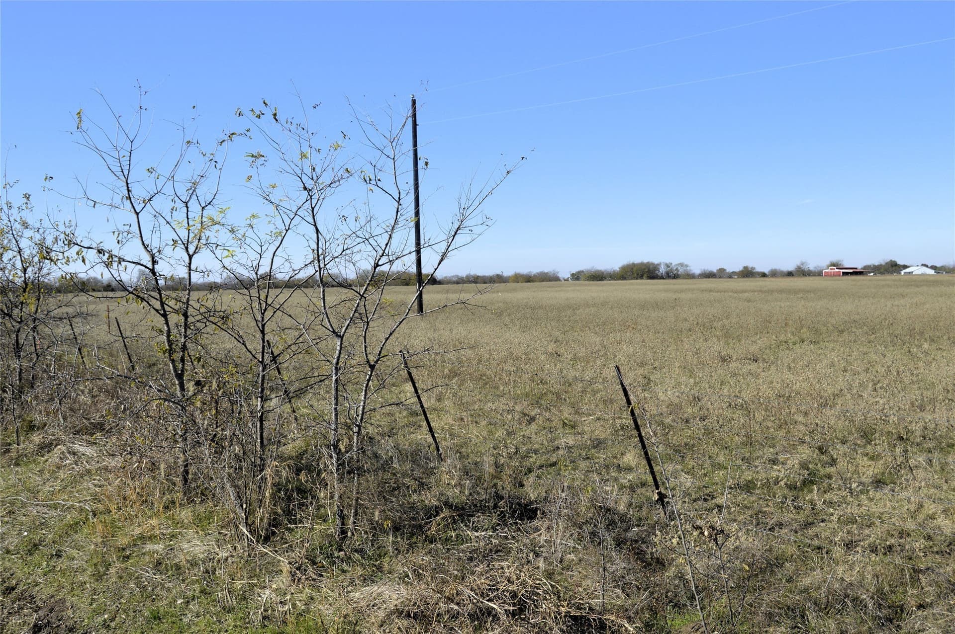 6 acres in Rains County - photo 16