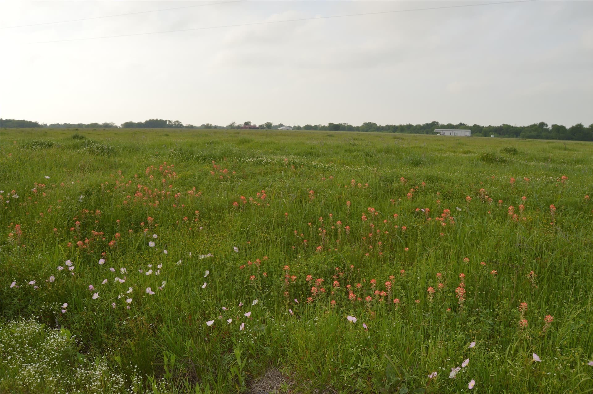 6 acres in Rains County - photo 38