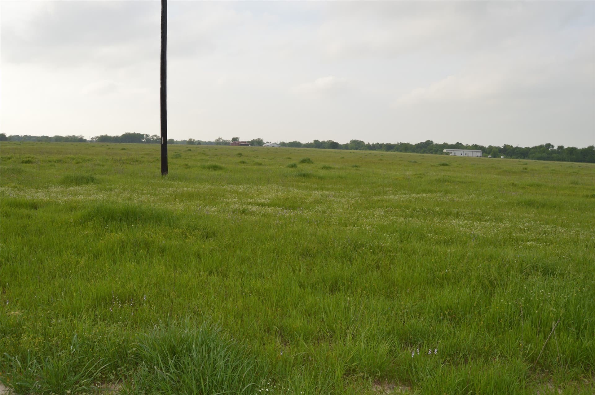 6 acres in Rains County - photo 5