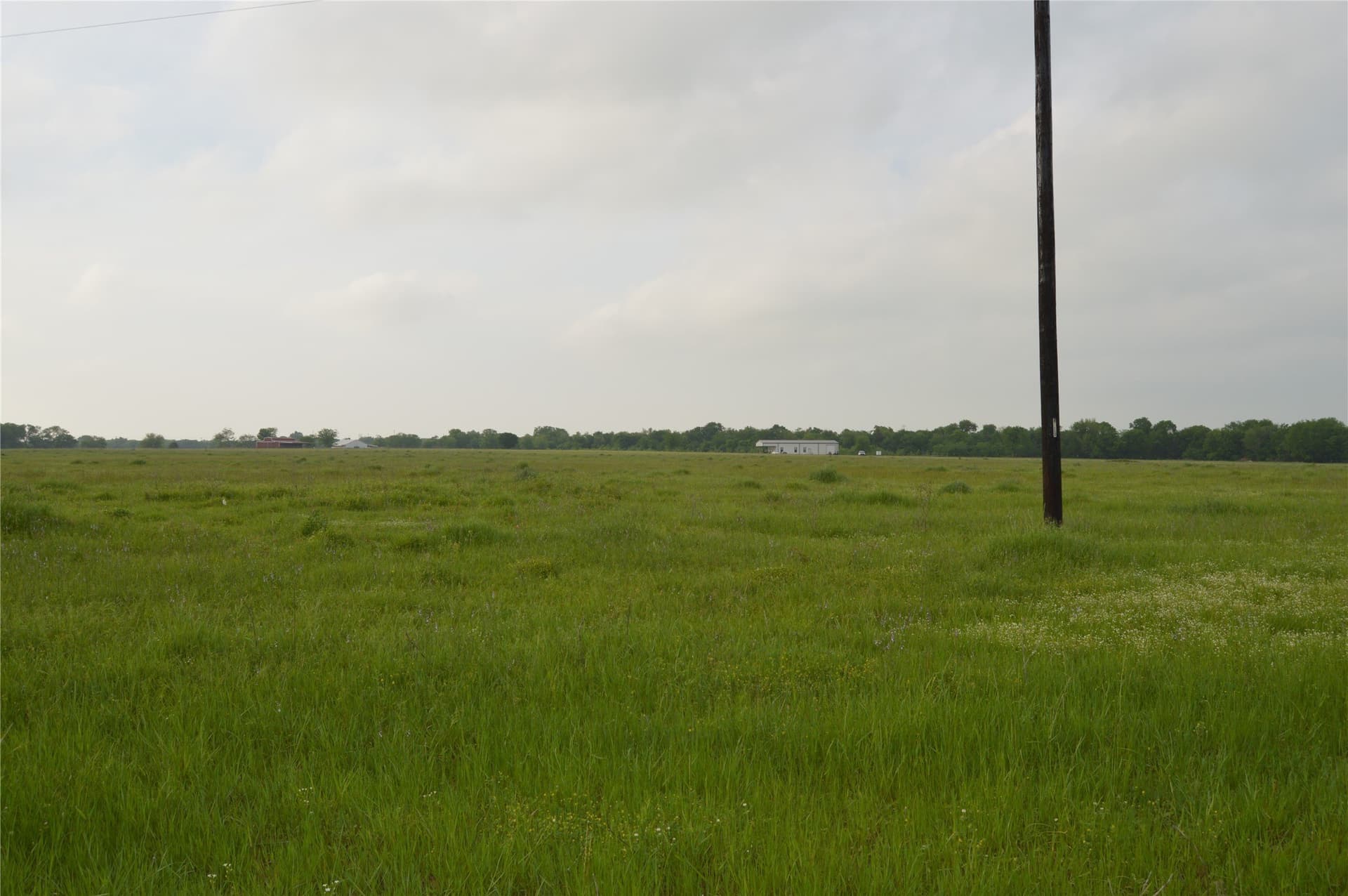 6 acres in Rains County - photo 6