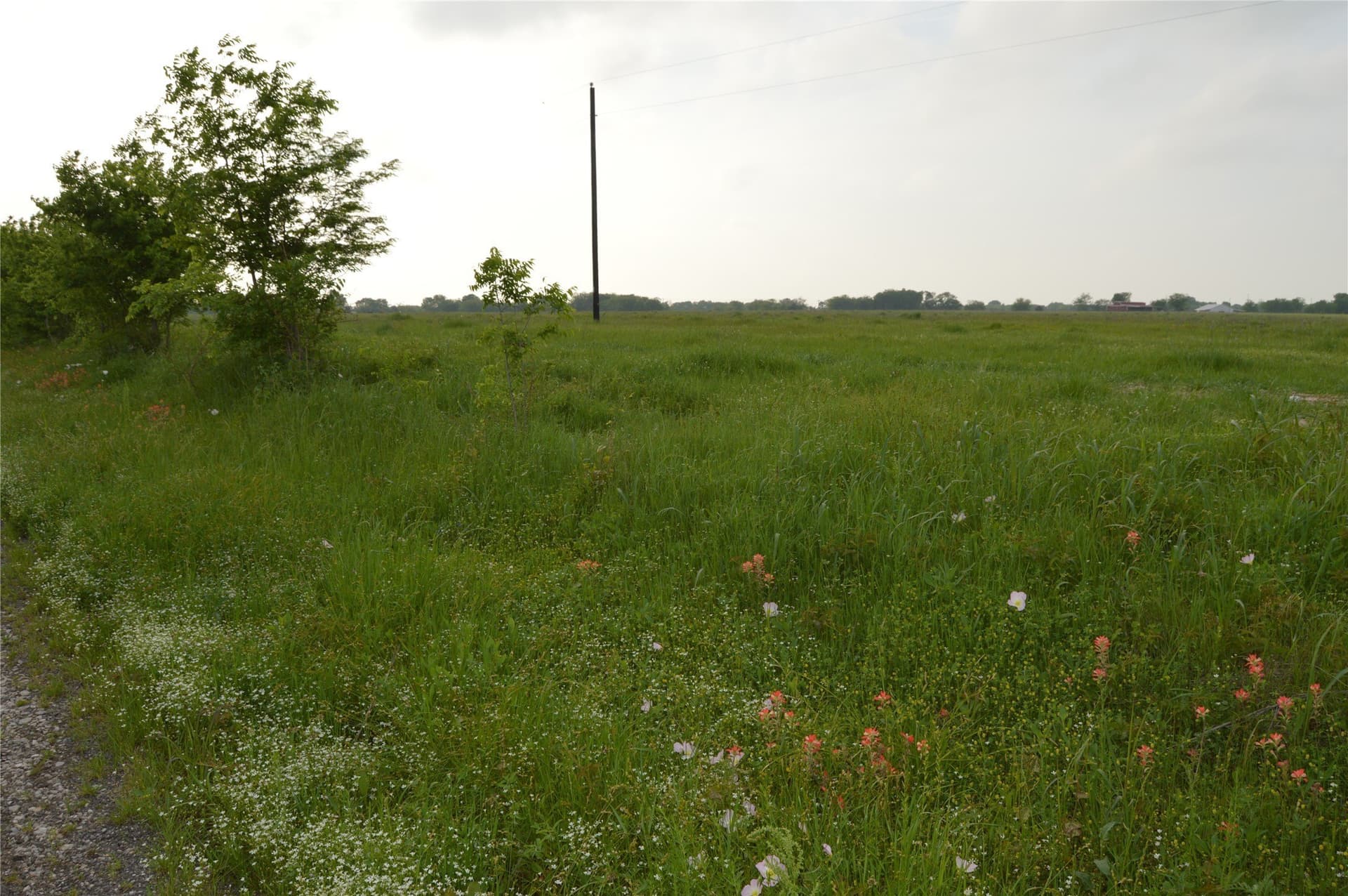 6 acres in Rains County - photo 34