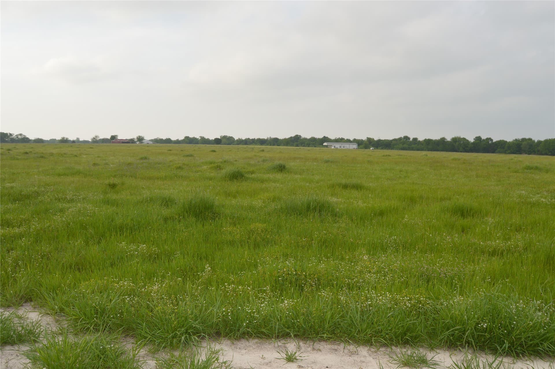 6 acres in Rains County - photo 9