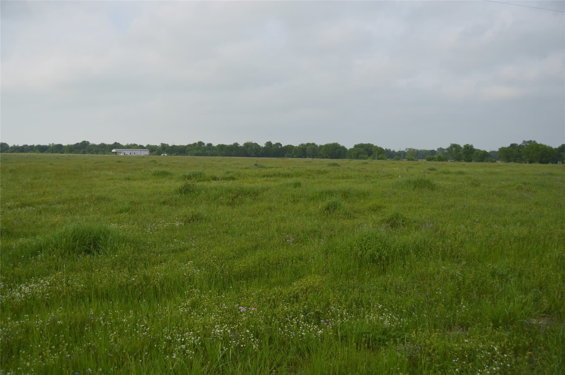 6 acres in Rains County - photo 7