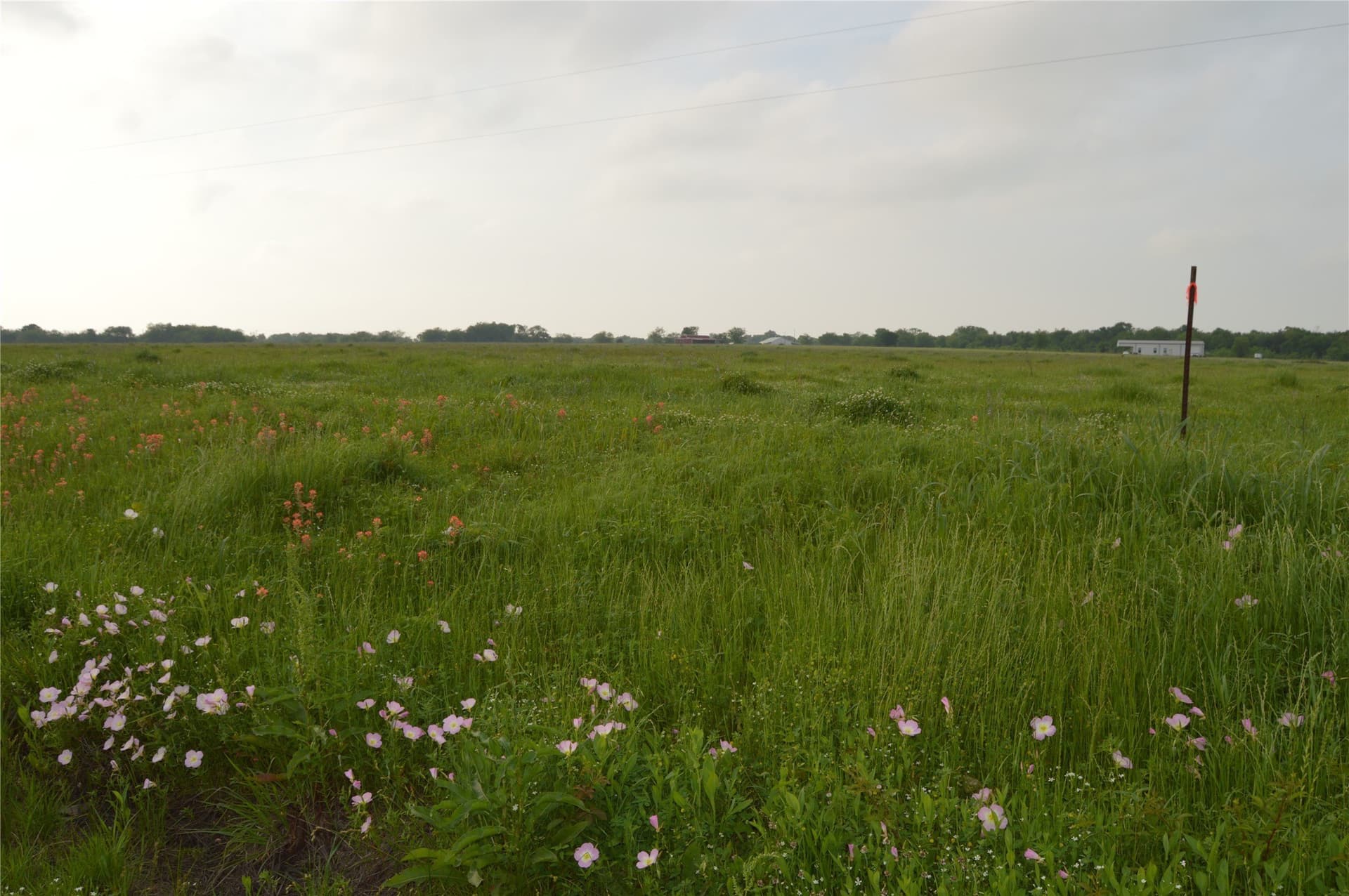 6 acres in Rains County - photo 39