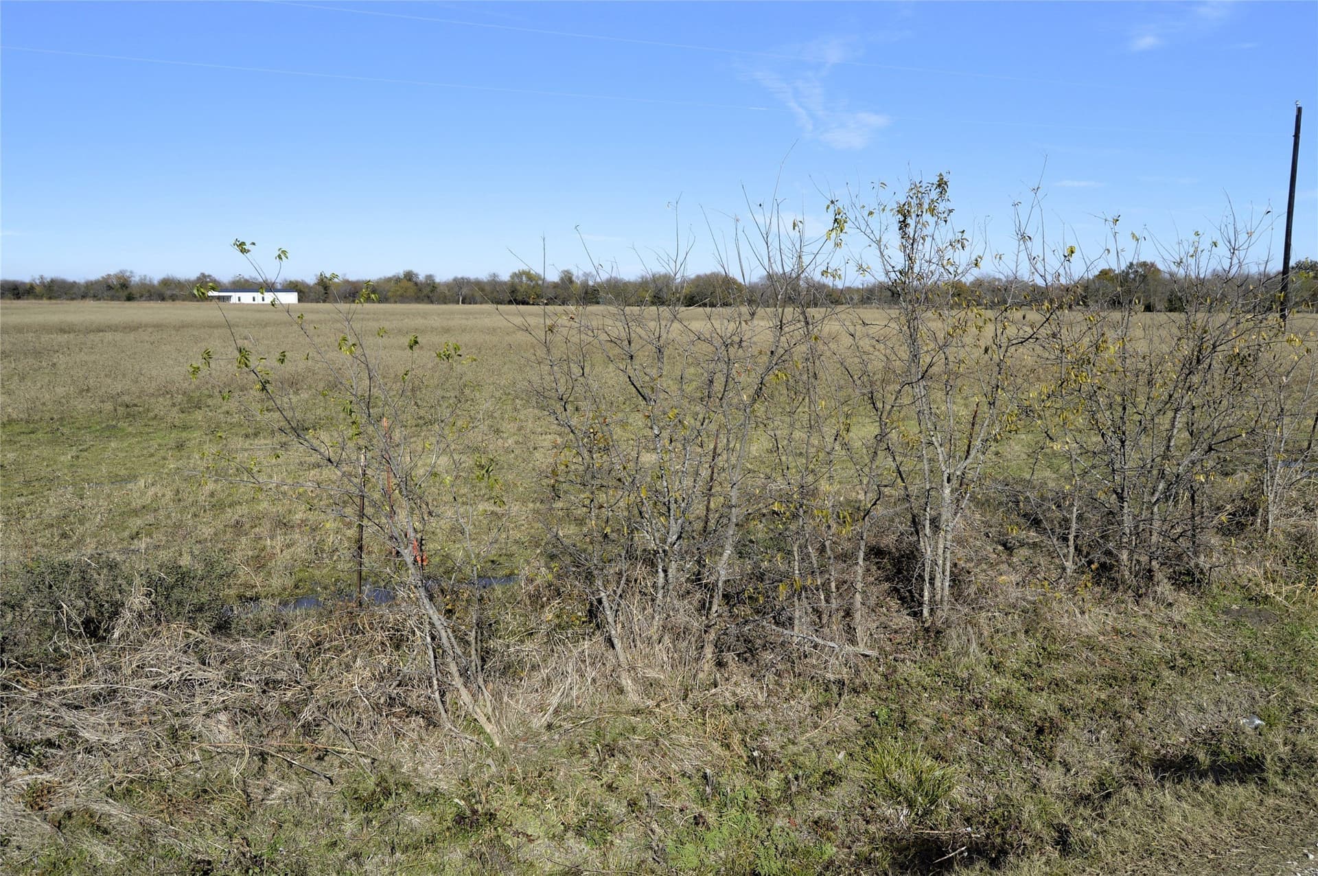 6 acres in Rains County - photo 27