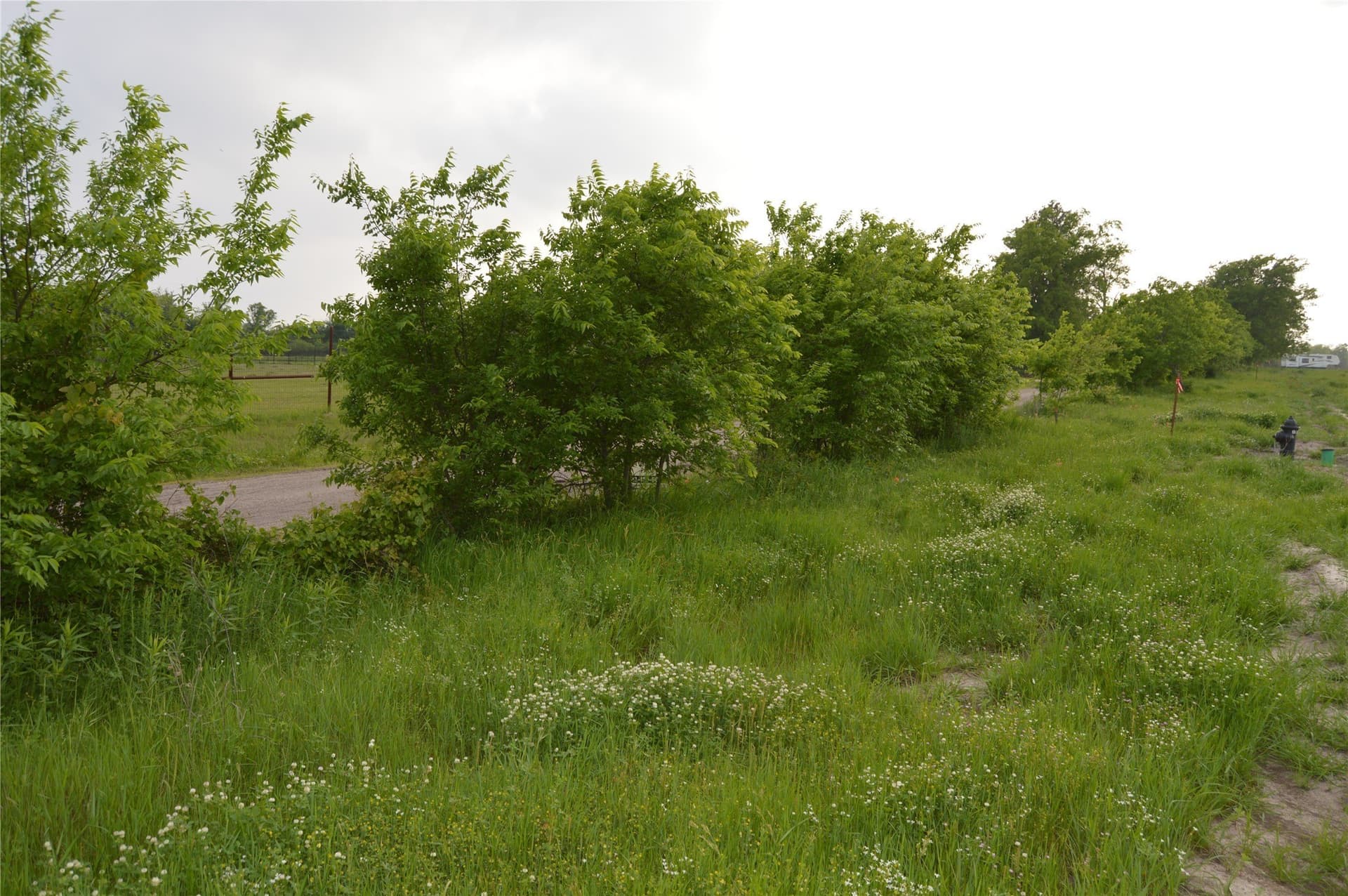 6 acres in Rains County - photo 2
