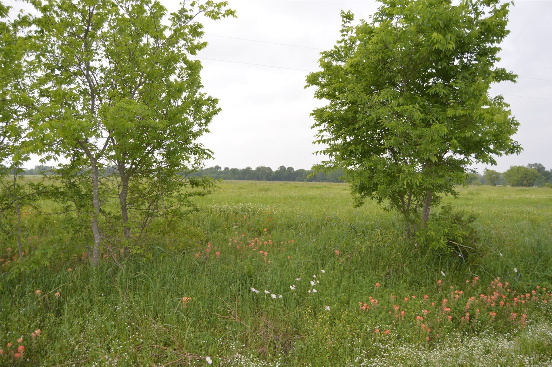 6 acres in Rains County - photo 32