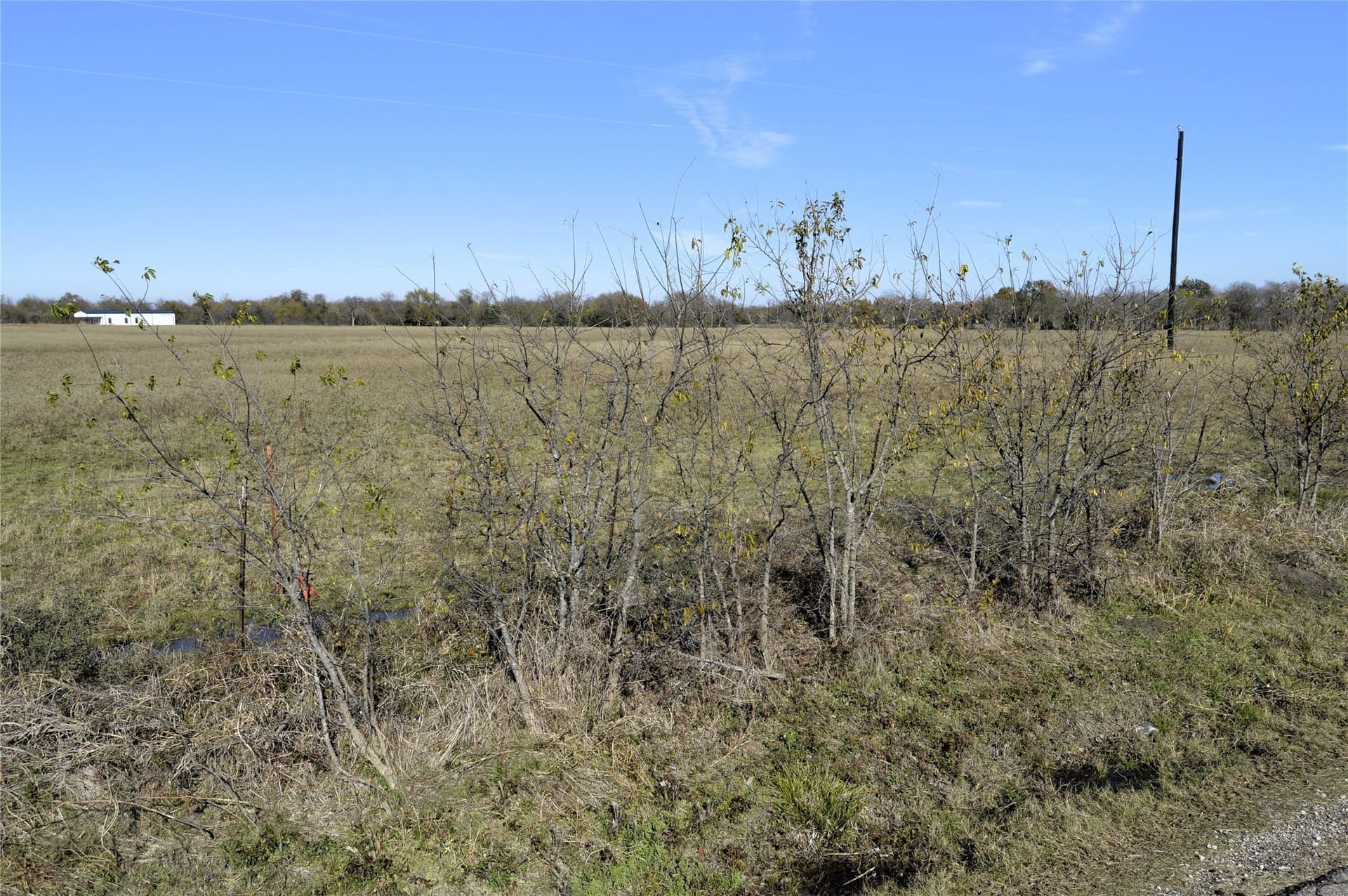 6 acres in Rains County - photo 26