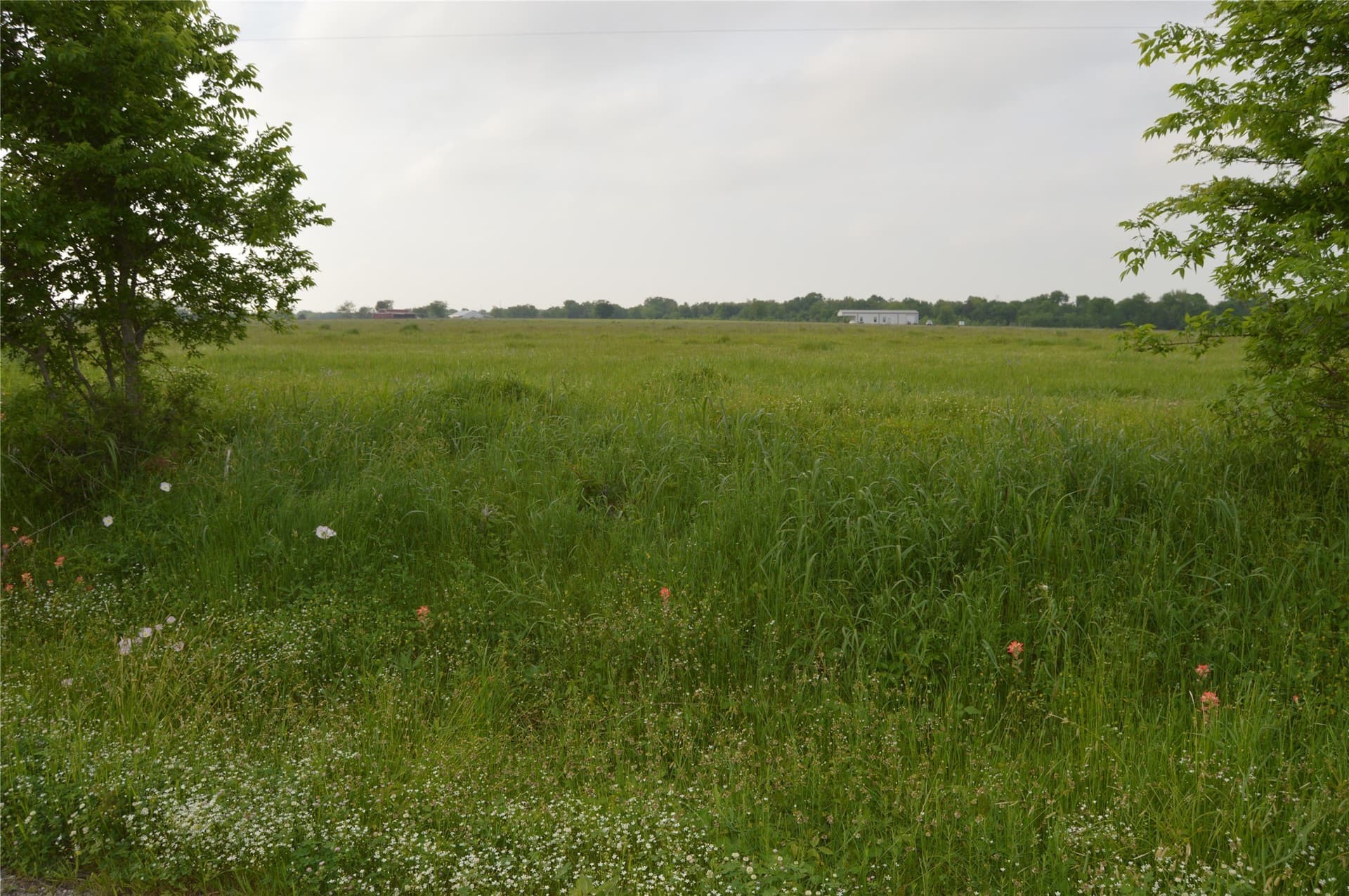 6 acres in Rains County - photo 33