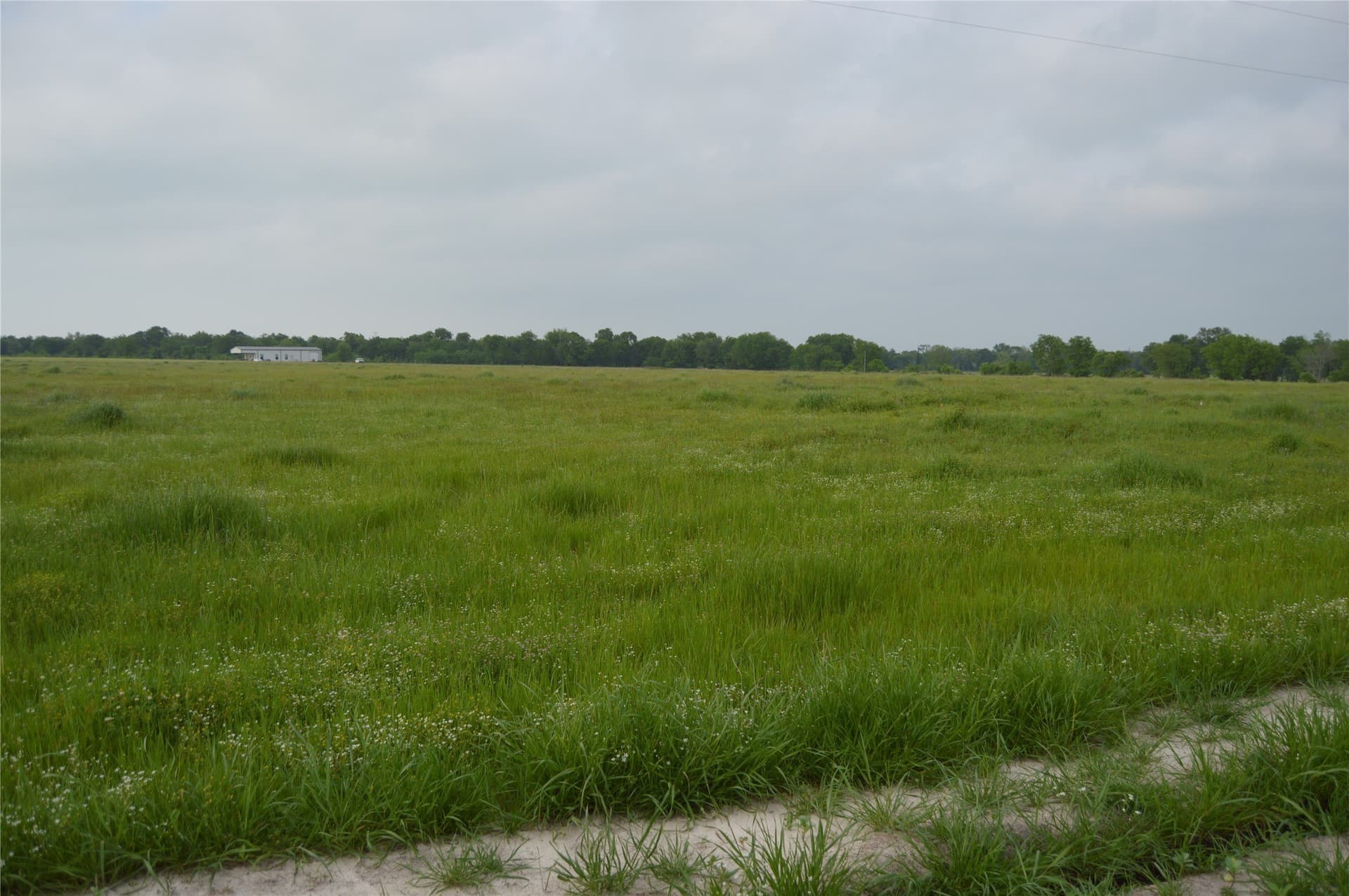 6 acres in Rains County - photo 8