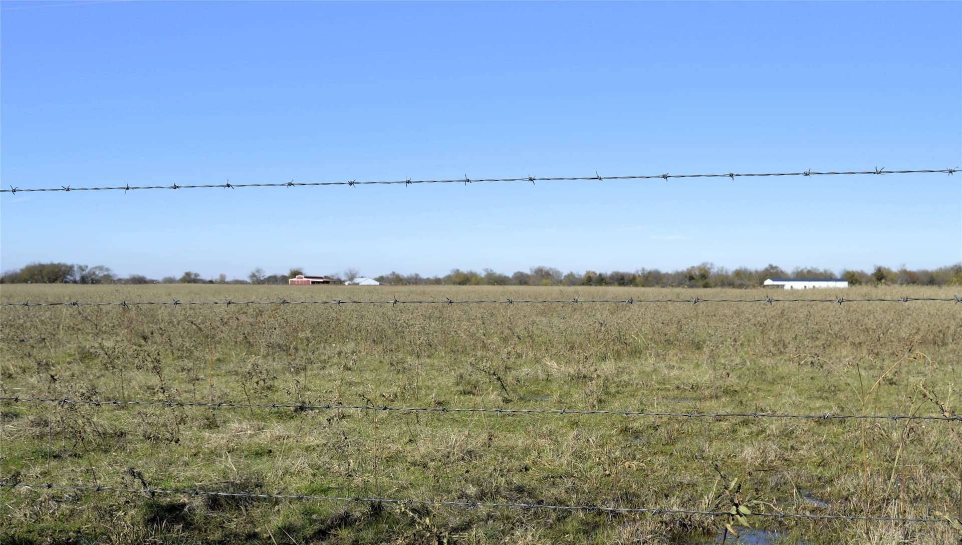 6 acres in Rains County - photo 21