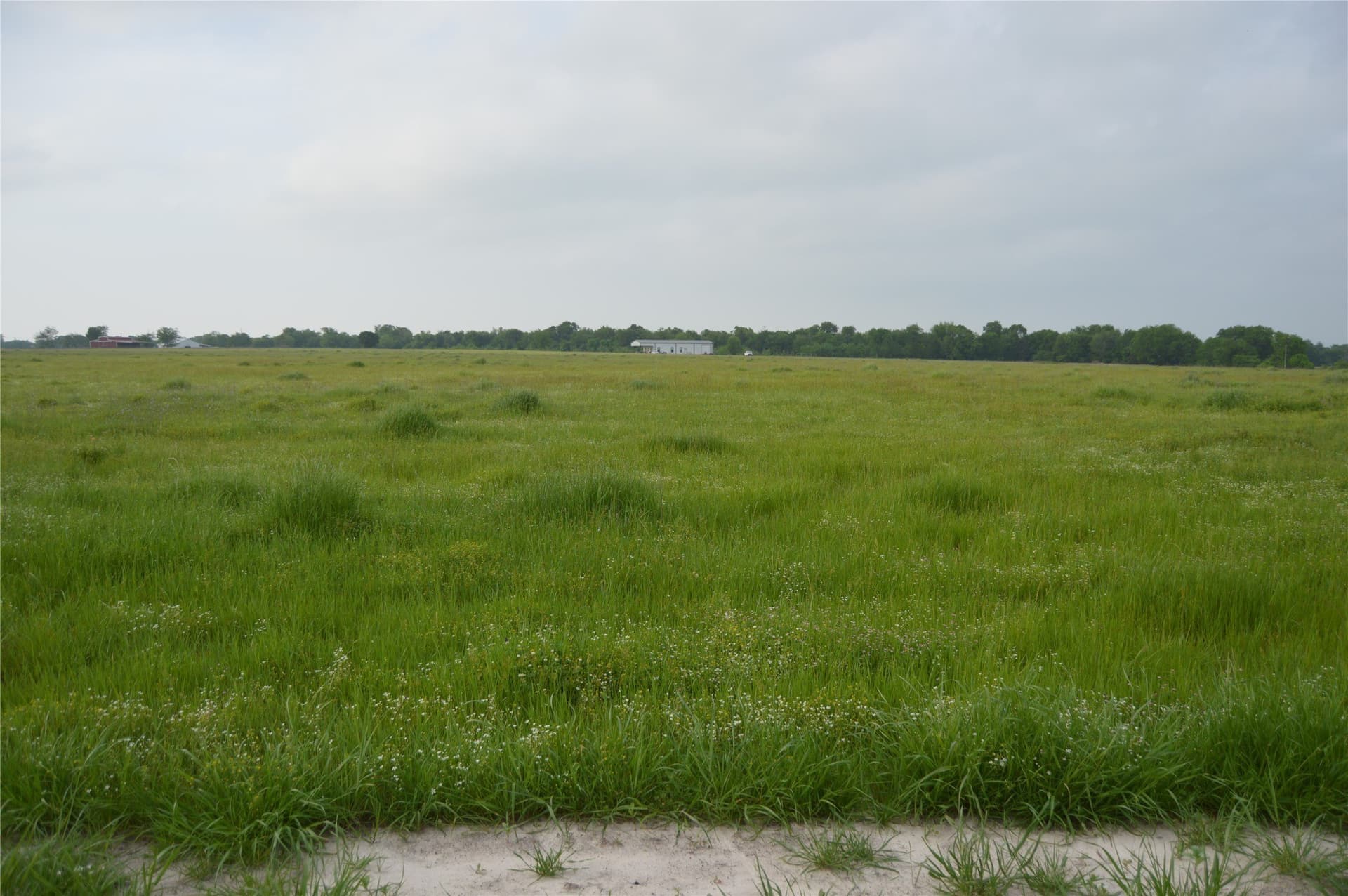6 acres in Rains County - photo 10