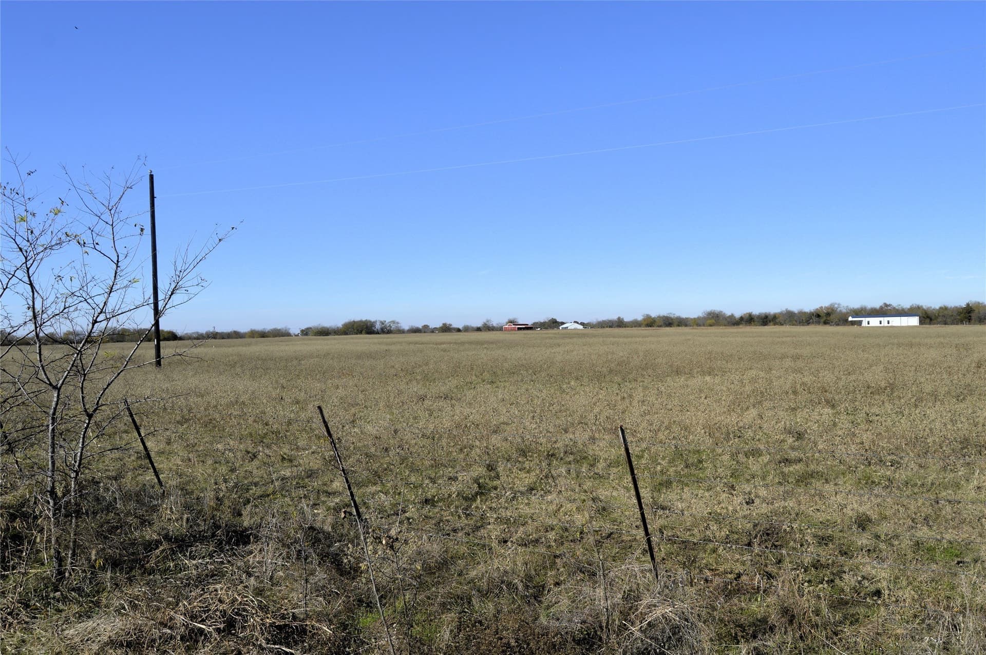 6 acres in Rains County - photo 17