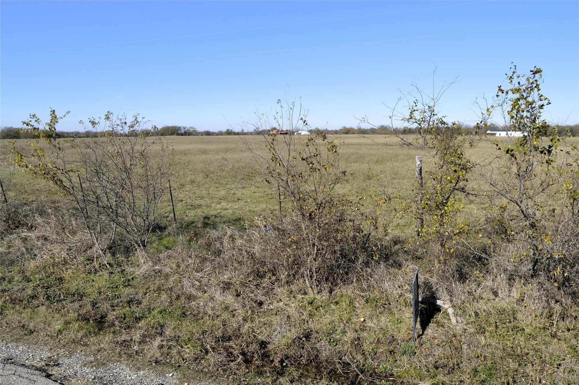 6 acres in Rains County - photo 29