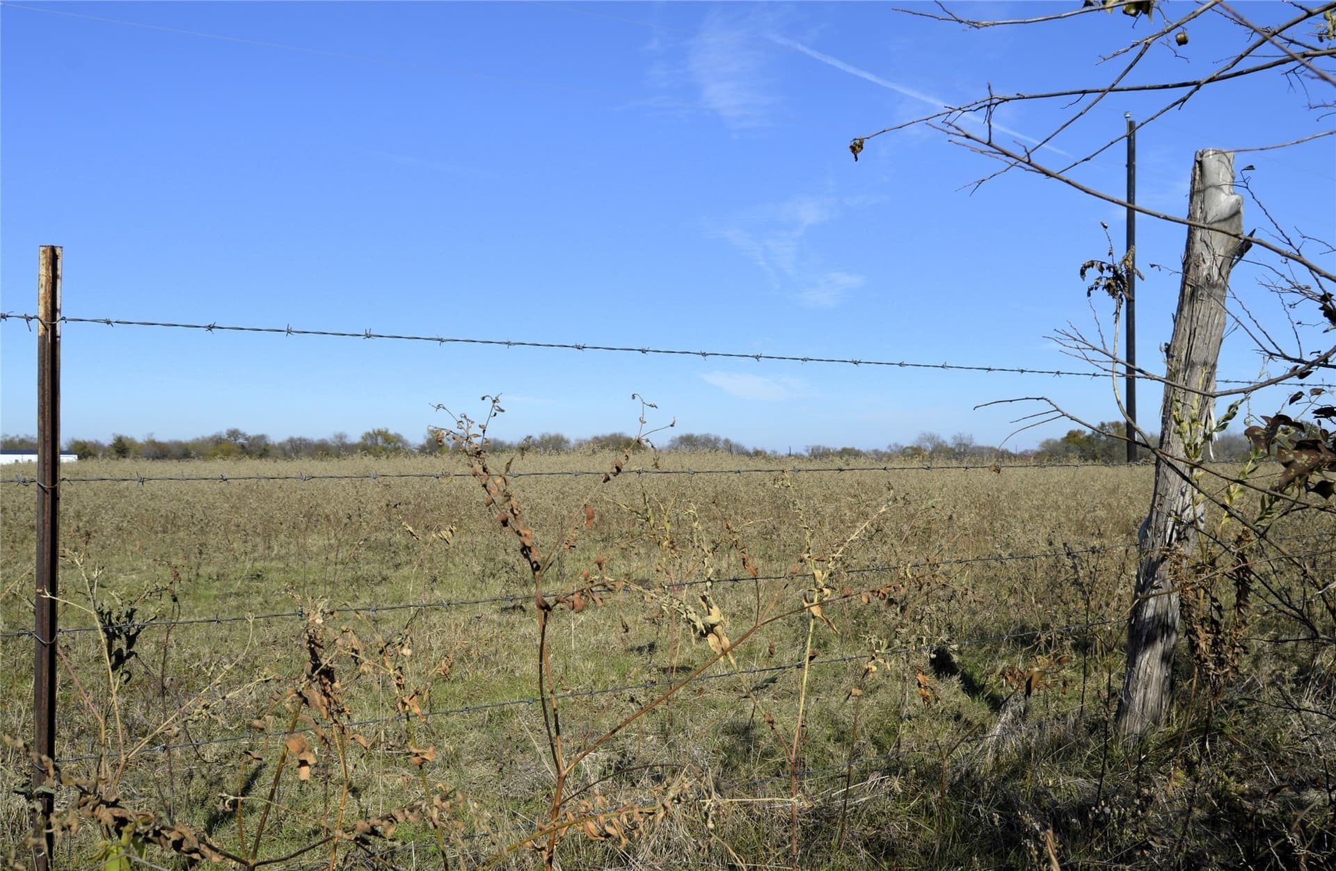 6 acres in Rains County - photo 20