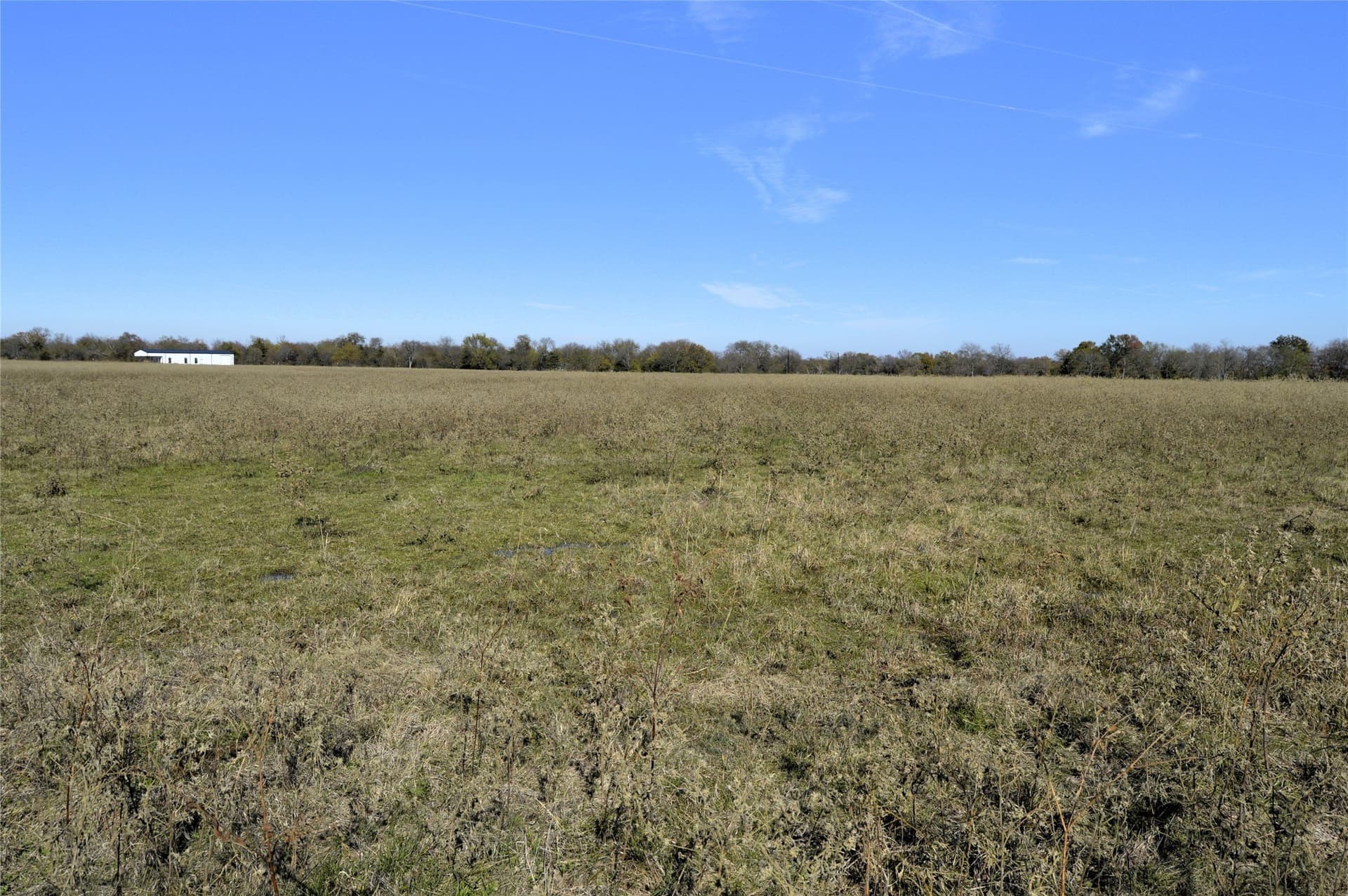 6 acres in Rains County - photo 24