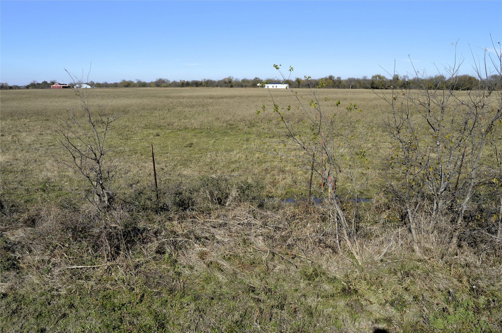 6 acres in Rains County - photo 28