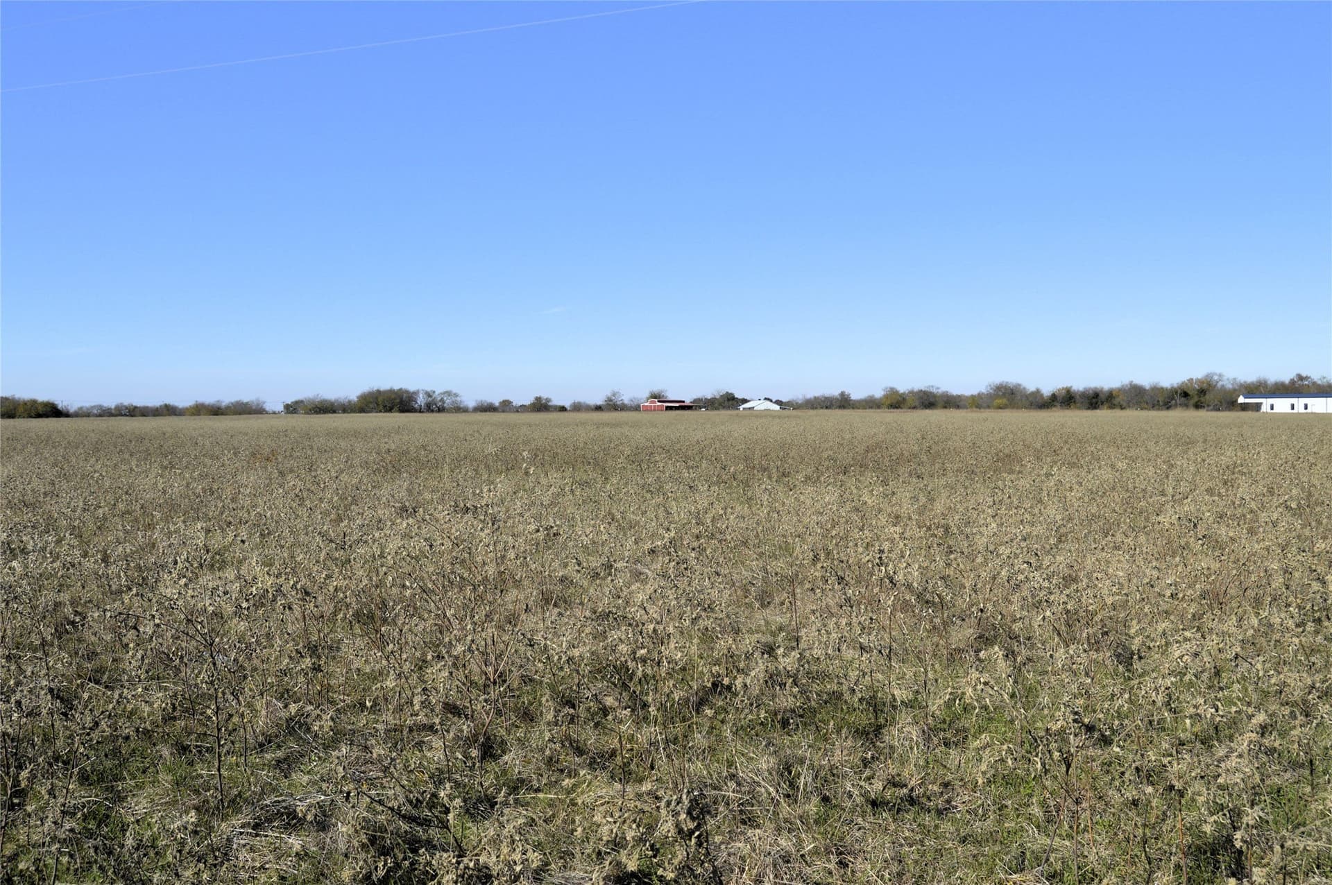 6 acres in Rains County - photo 18