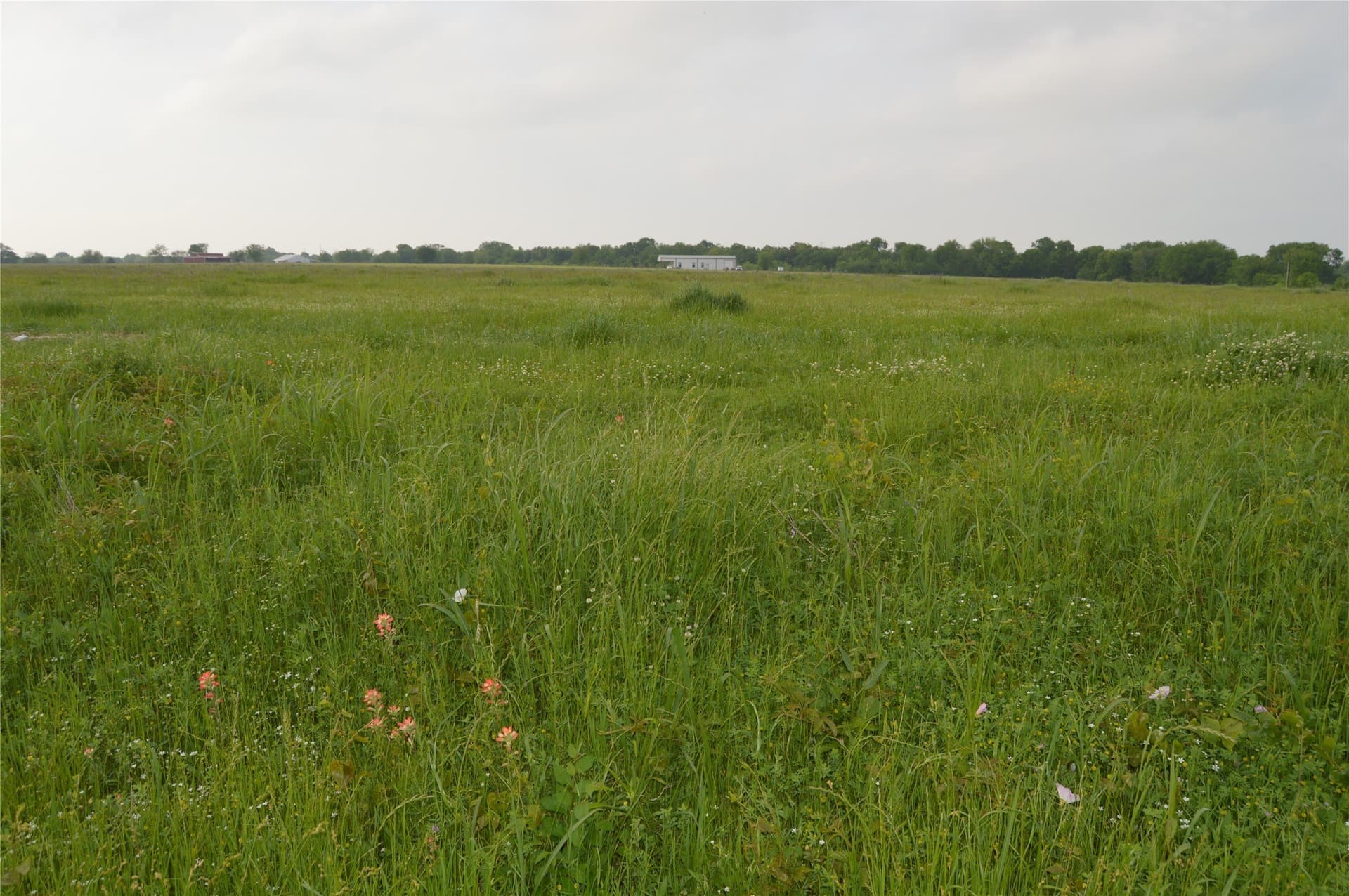 6 acres in Rains County - photo 35
