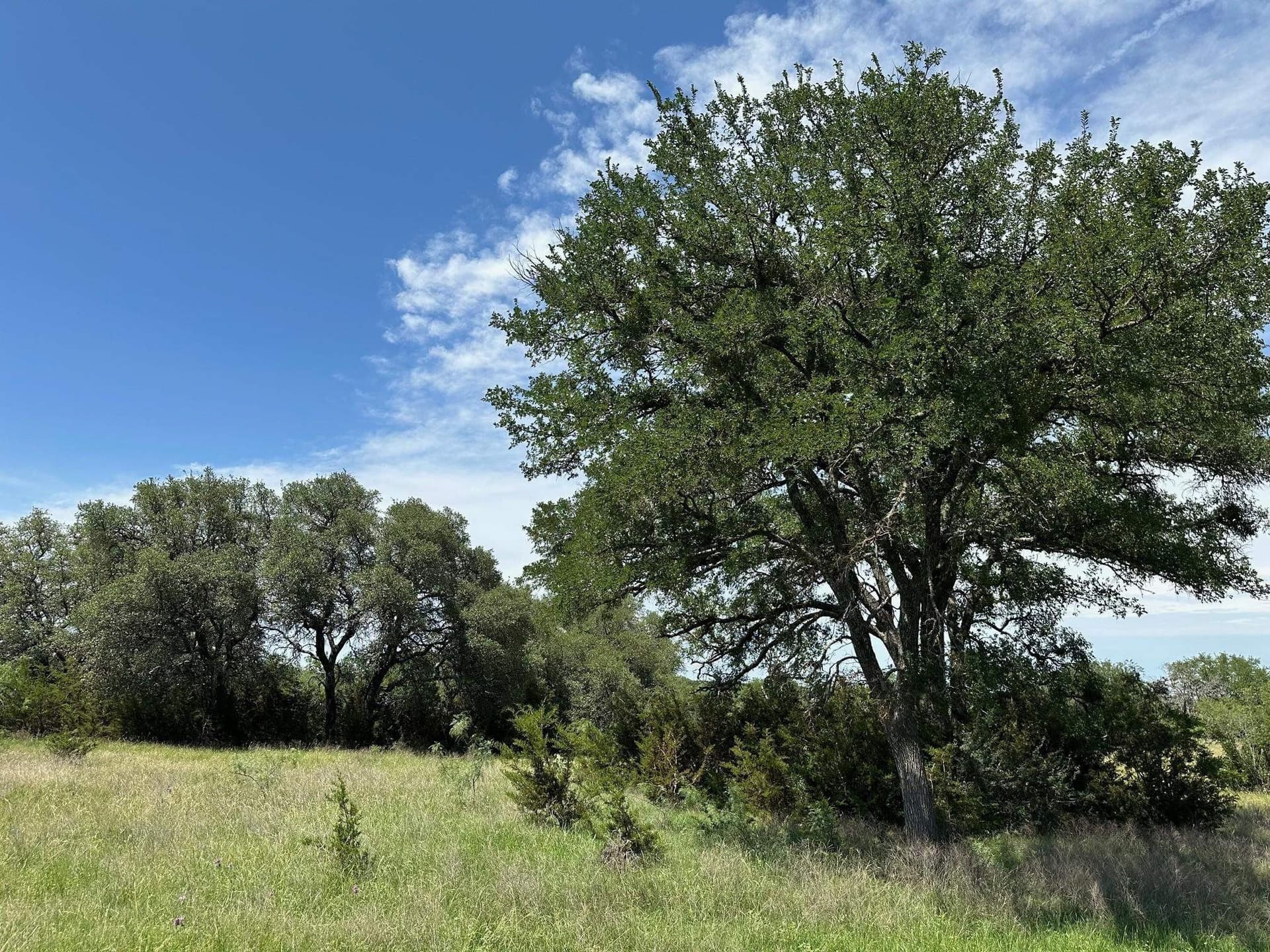 45 acres in Burnet County