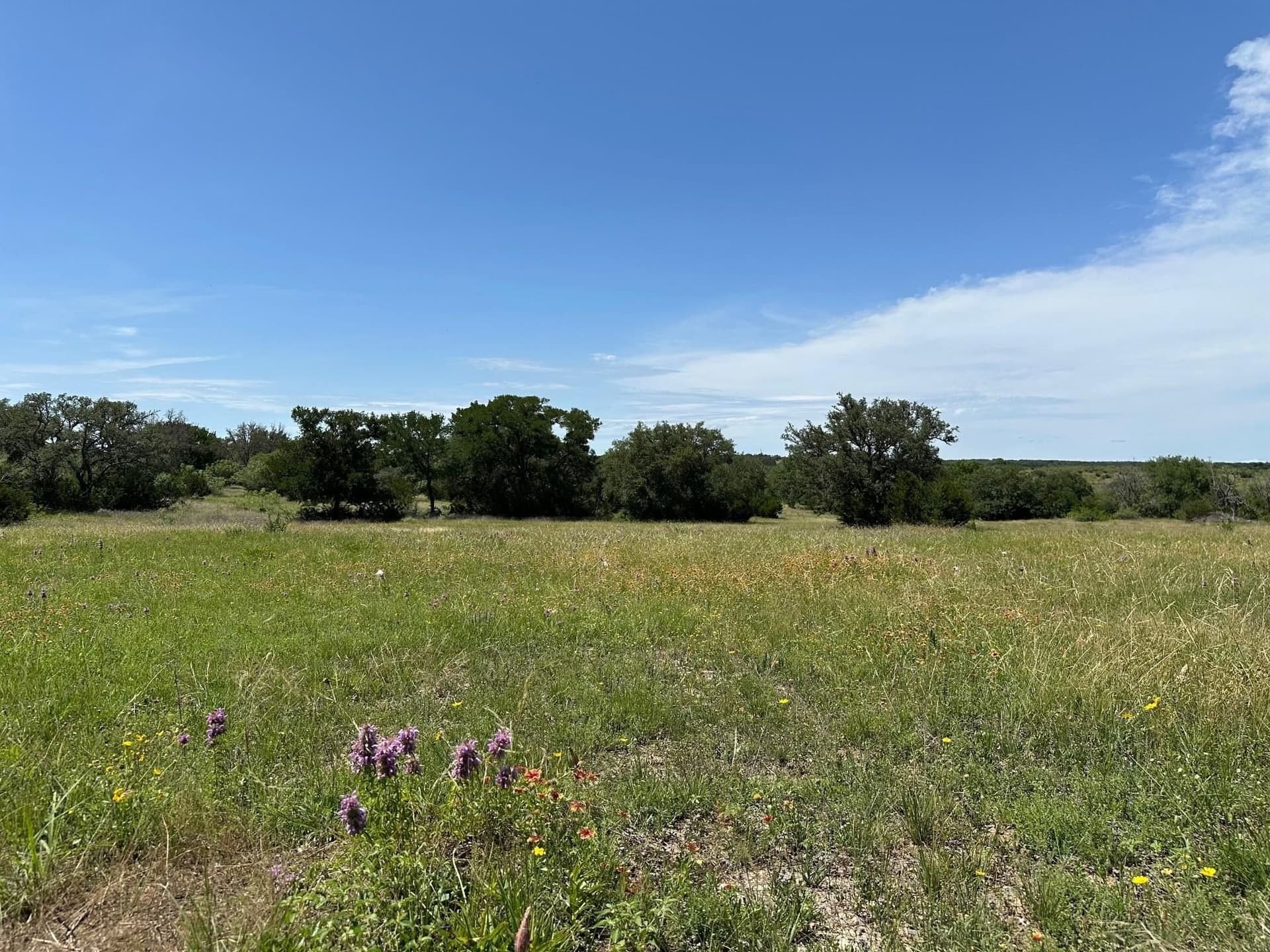 45 acres in Burnet County gallery image 4
