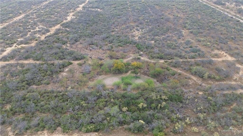 100 acres in Zapata County gallery image 2