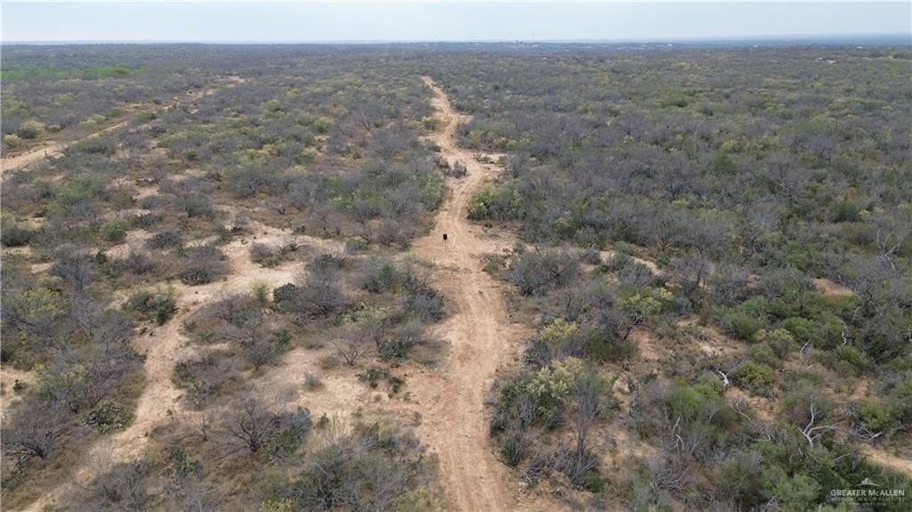 100 acres in Zapata County - photo 9