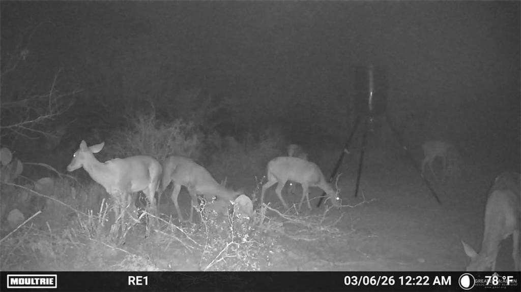 100 acres in Zapata County - photo 17