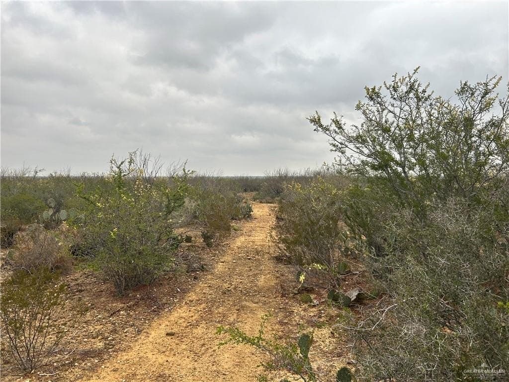 100 acres in Zapata County - photo 13
