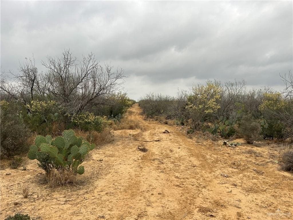 100 acres in Zapata County - photo 6