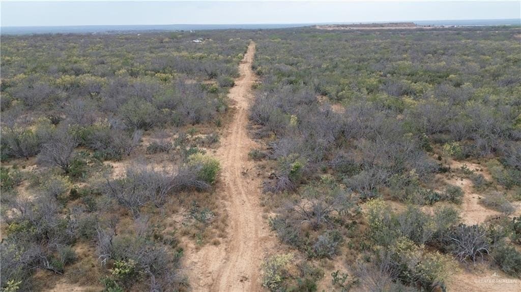 100 acres in Zapata County - photo 14